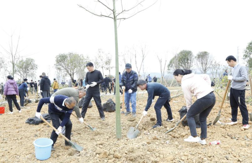 柳州市365BETAPP官网_贝斯特365_best365官网登录下载局参加2023年新春义务植树活动